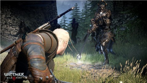 تصاویری فوق العاده از بازی The Witcher III: Wild Hunt منتشر شد!