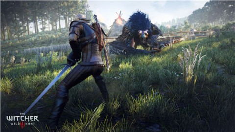 تصاویری فوق العاده از بازی The Witcher III: Wild Hunt منتشر شد!