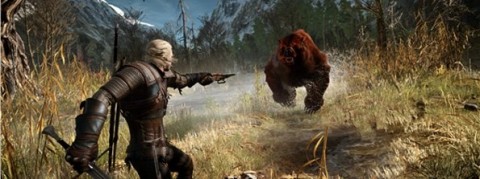 تصاویری فوق العاده از بازی The Witcher III: Wild Hunt منتشر شد!