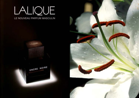 خرید ادکلن لالیک مردانه اصل Lalique Encre Noire